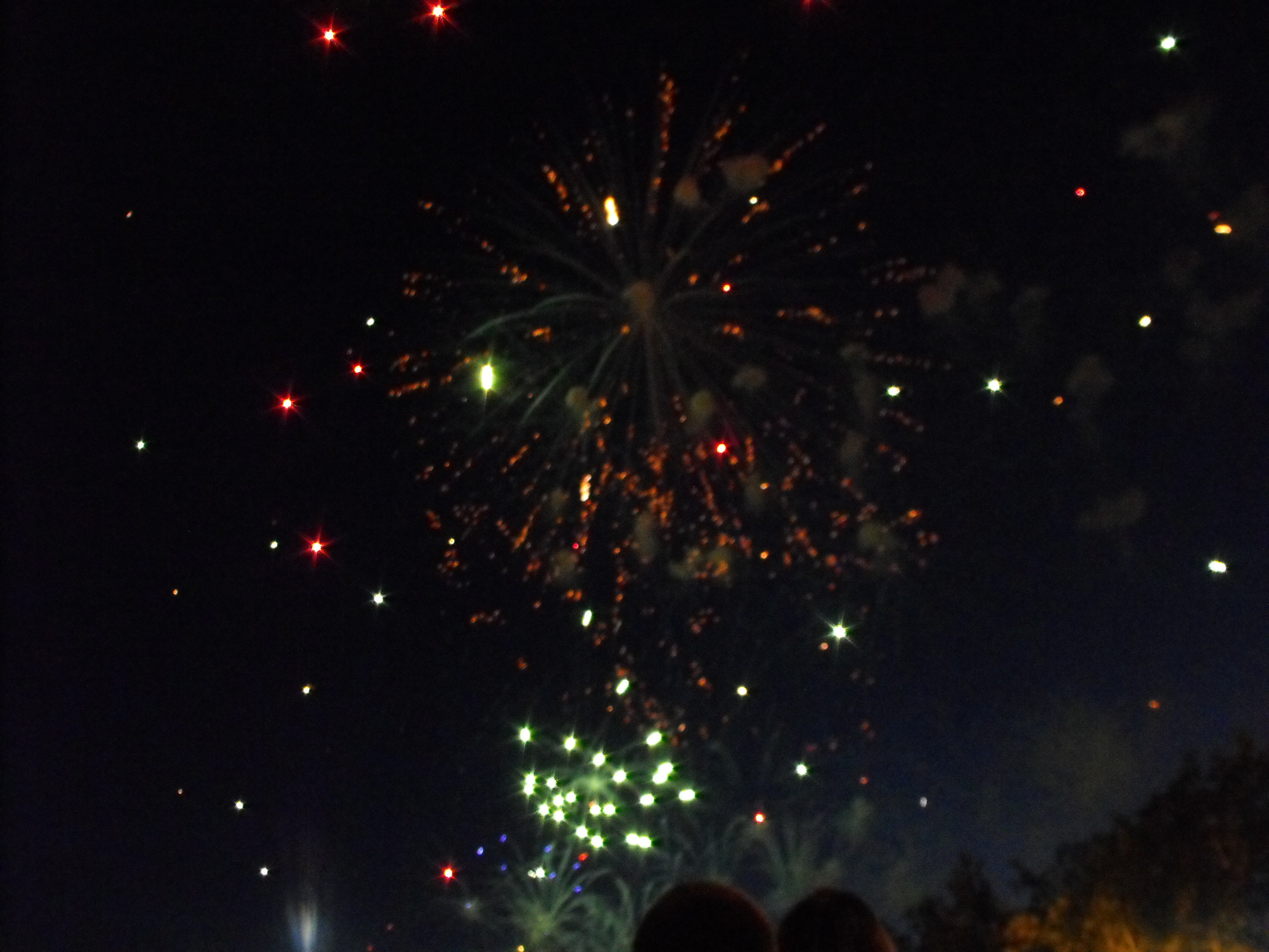./2010/Fourth of July/4th July Fireworks Wilm 0006.JPG